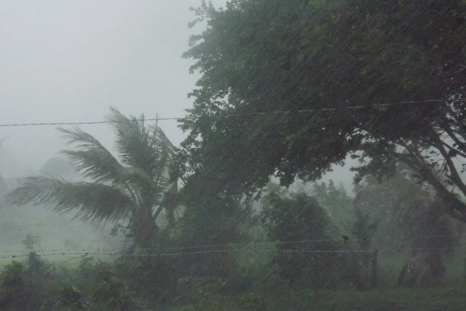 Espírito Santo tem alerta de ventos fortes com rajadas de até 60km/h