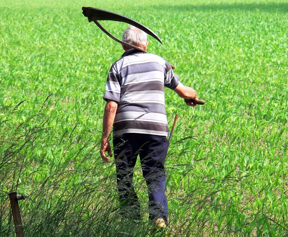 Autorizada renegociação das dívidas dos produtores rurais do Espírito Santo