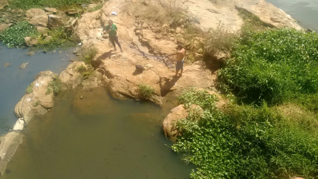 Nível do rio Itapemirim em Cachoeiro diminui e peixes precisam ser resgatados em poça