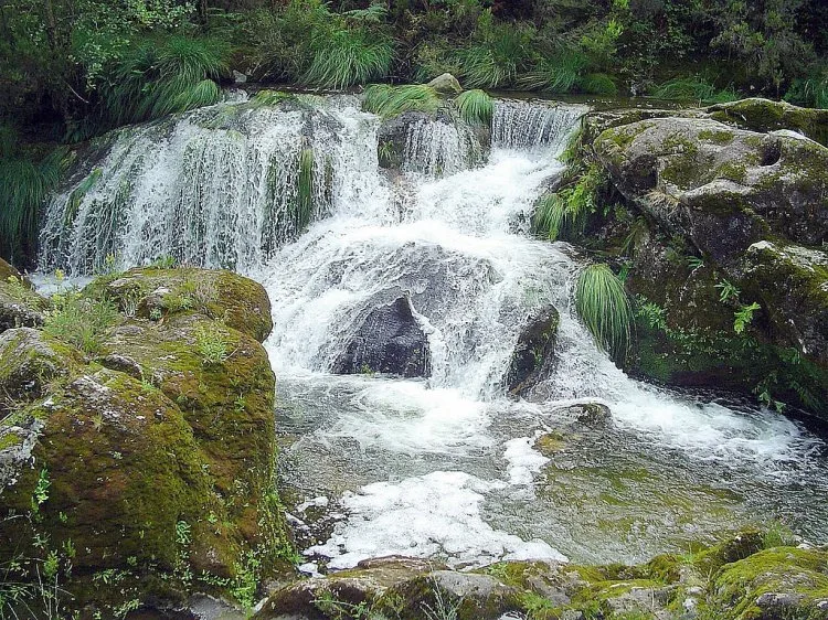 17ª edição do Prêmio Ecologia abre inscrições na próxima segunda-feira