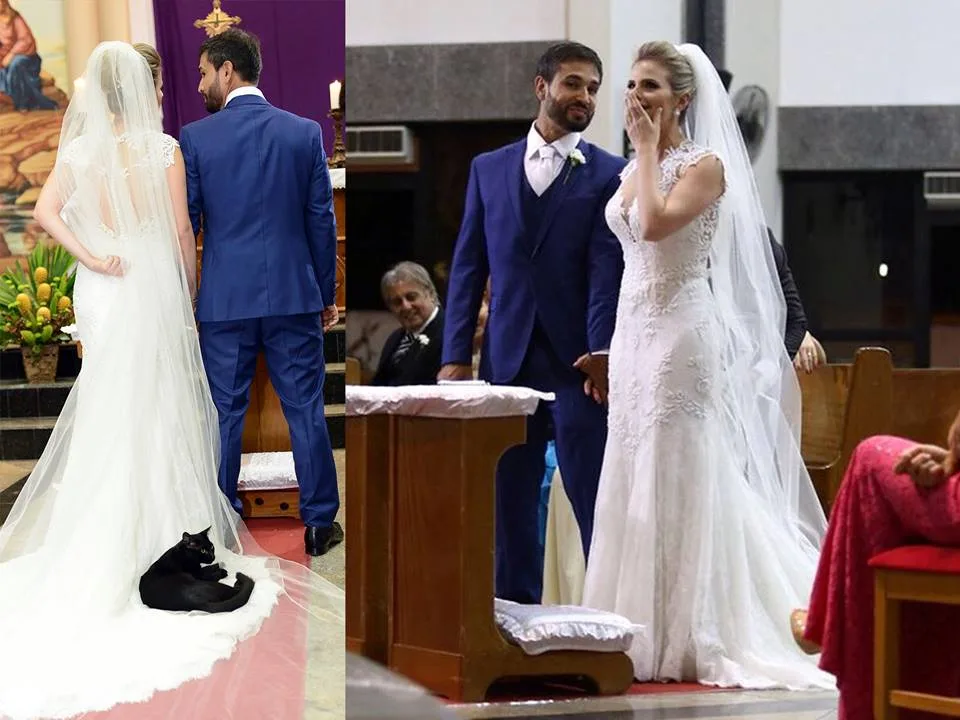 Sorte ou azar? Gato preto invade casamento e se 'aconchega' no vestido da noiva em Vitória