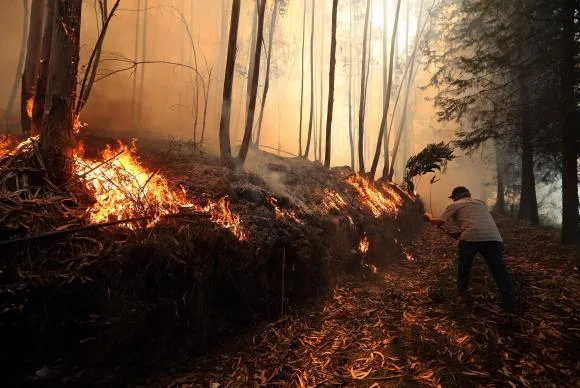 Bombeiros tentam há 3 dias conter incêndio em Nova Friburgo