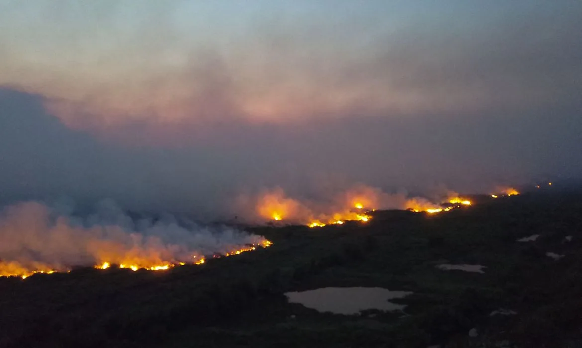 Incendios florestais entre Miranda e Corumbá BR 262 e MS 184