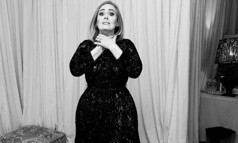 No México, Adele interrompe show por causa de morcego e tem reação hilária