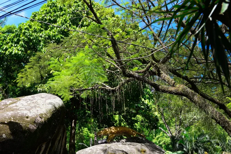 Escultura da Onça na Gruta da Onça