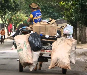 Condutores de veículos de tração animal terão auxílio financeiro