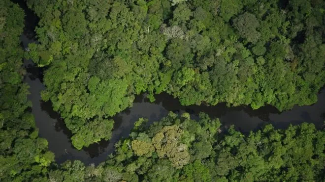 Bolsonaro defende mineração na Amazônia e exploração da Renca