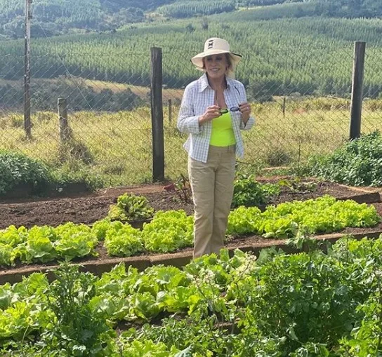 Ana Maria Braga pede desculpas após receita polêmica de acarajé e cita Verdinha de Ludmilla em post: 'Minha horta veio antes'