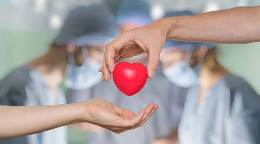 Heart transplant and organ donation concept. Hand is giving red heart.