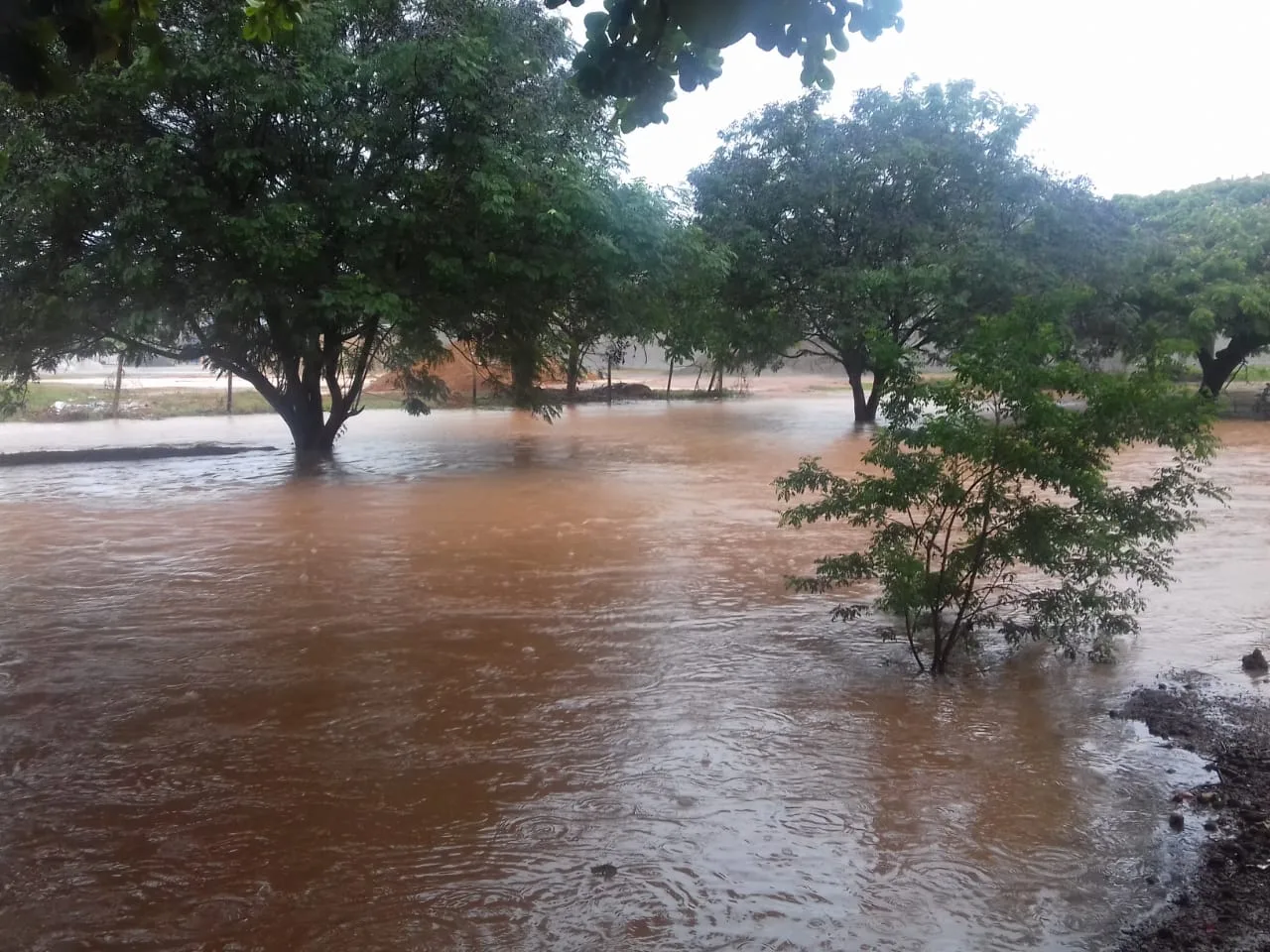 Chuva no ES: mais de 40 pessoas seguem em abrigo improvisado em escola de Vila Velha