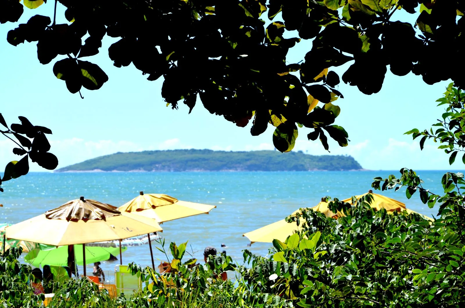 ‘Dona Música & Seu Poema’ levará música, arte e poesia até a praia em Itapemirim