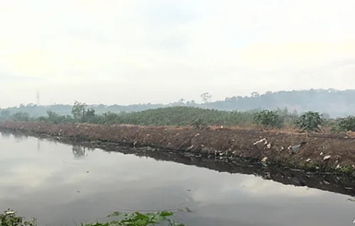 Área atingida por turfa na Serra já equivale a seis campos de futebol e trabalhos continuam