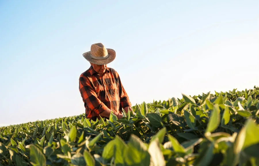 Produtores rurais poderão refinanciar dívidas com juros de 8% ao ano