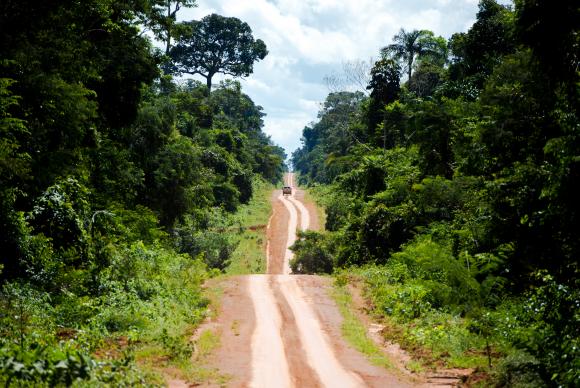 Cientistas propõem 'revolução industrial' para salvar Amazônia