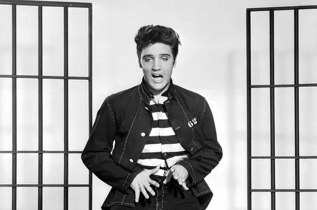 Guitarrista de Elvis Presley morre aos 84 anos, nos Estados Unidos