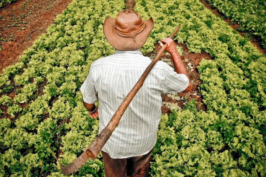 Encontro com agricultores familiares incentiva formação de cooperativa em Linhares