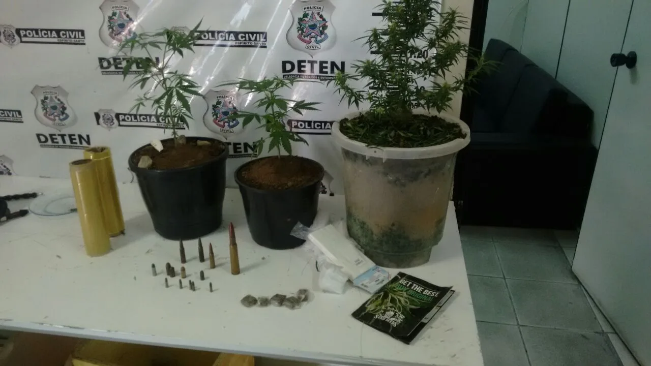 Preso homem que cultivava pés de maconha dentro de casa em Cariacica