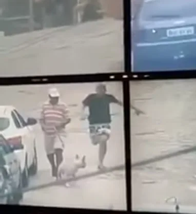 Vídeo flagra cachorro imobilizando suspeito que fugia de policiais a pé