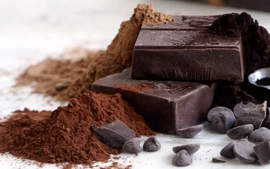 Benefícios do chocolate: alimento é antioxidante e faz bem à saúde