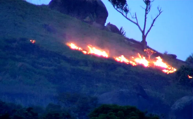 Incêndio atinge área de vegetação em morro de Vila Velha