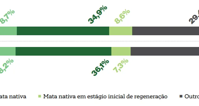 Mata nativa do ES apresenta crescimento equivalente a 27 mil campos de futebol