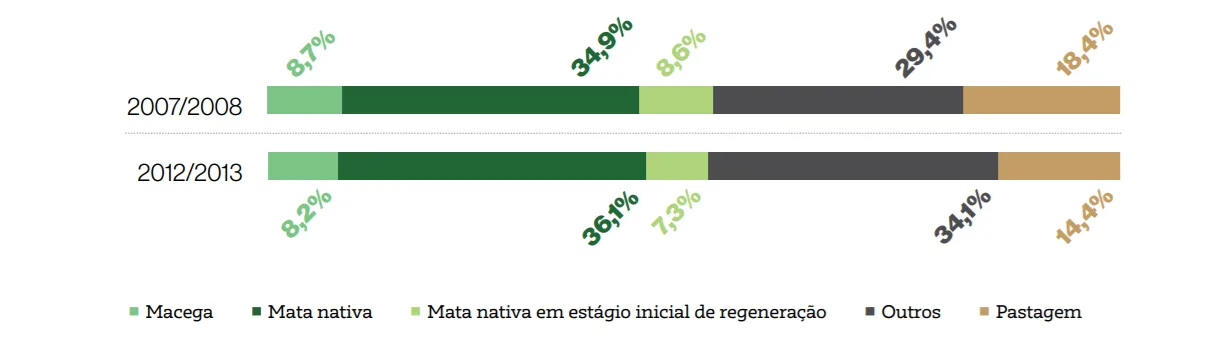 Mata nativa do ES apresenta crescimento equivalente a 27 mil campos de futebol