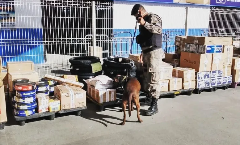 VÍDEO | Cadela da PM encontra droga escondida em encomenda na Rodoviária de Vitória