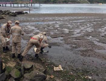 De novo: cabeça humana é encontrada na Avenida Beira Mar, em Vitória