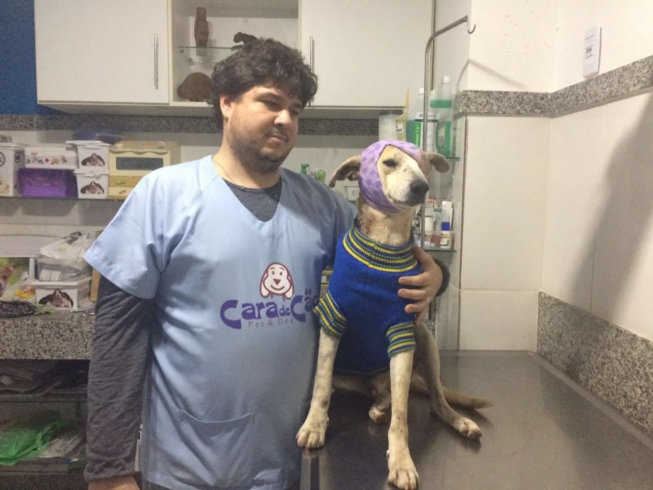 Cachorro espancado em Cachoeiro se recupera bem e passa por novos exames nesta semana