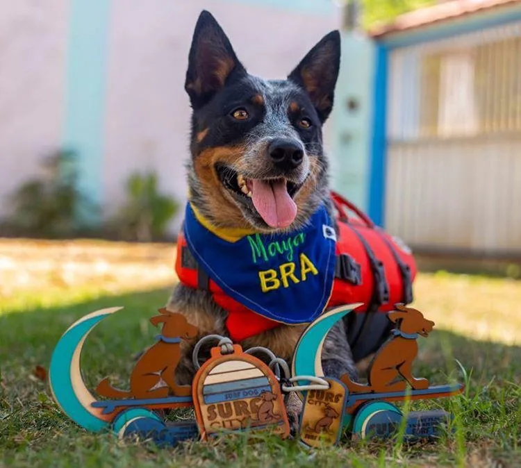 Cadelinha surfista de Marataízes busca o bicampeonato de surf dog na Califórnia