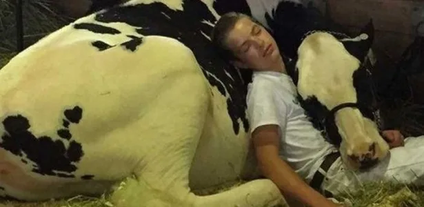 Foto de jovem e sua vaca dormindo abraçados comove a internet