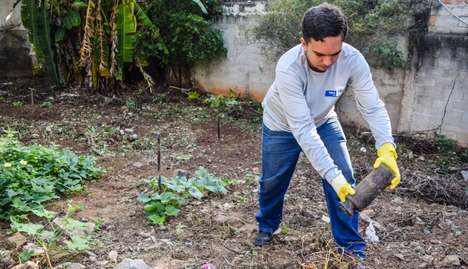 Cachoeiro tem quase 700 casos notificados de dengue neste ano