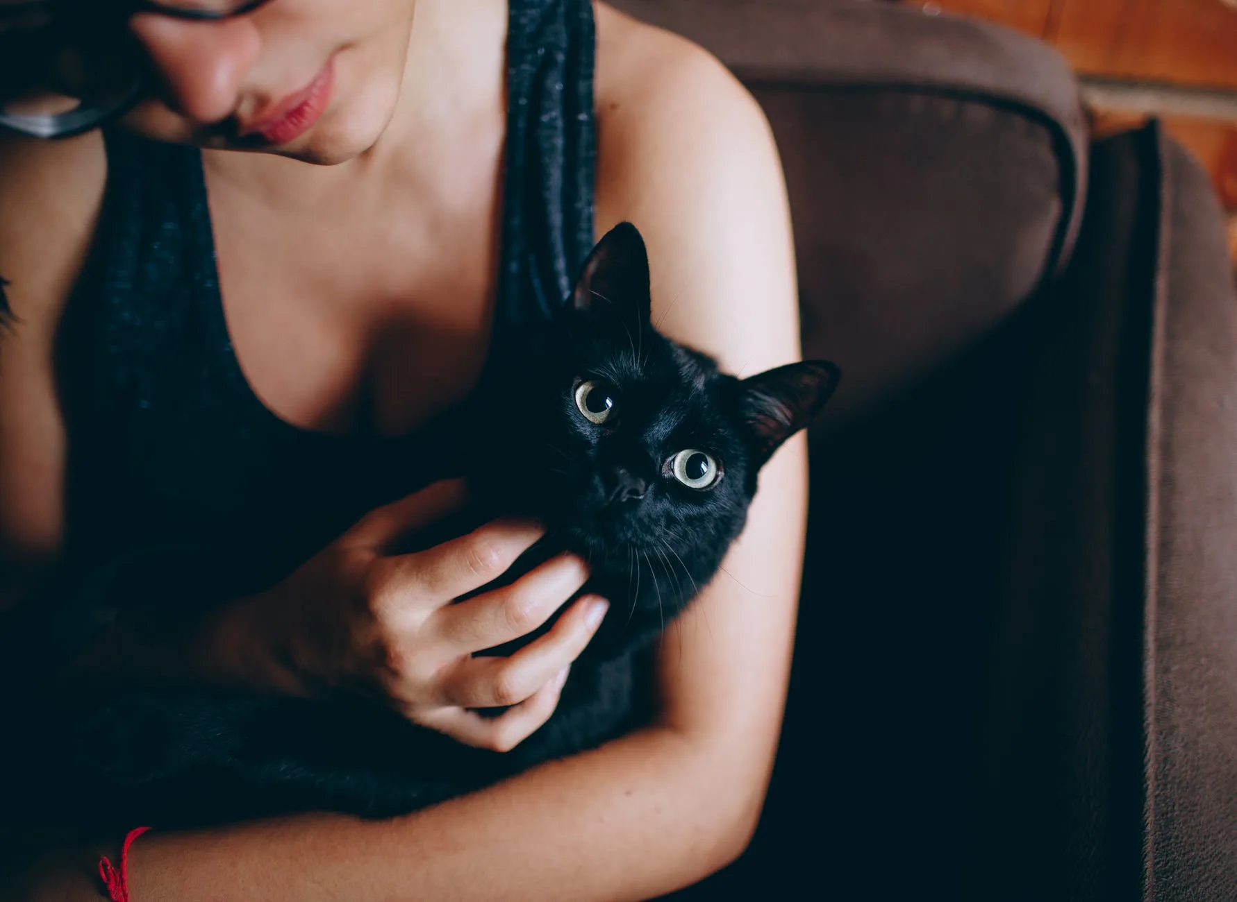 Halloween exige atenção aos gatos pretos, que correm risco de sofrer maus-tratos