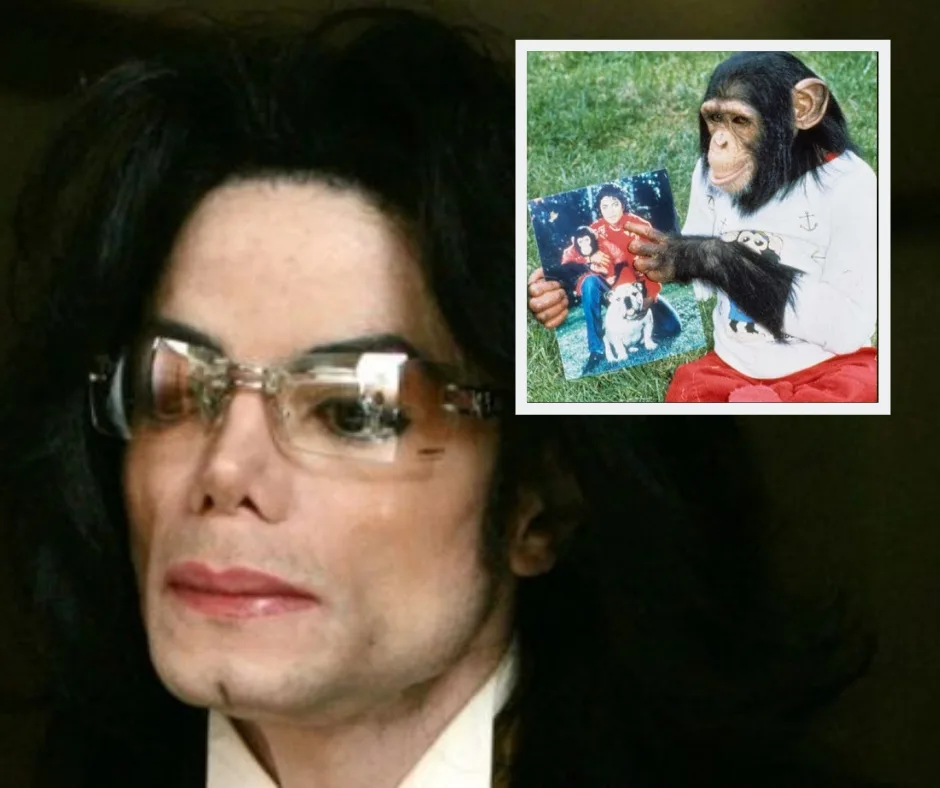 Michael Jackson é acusado de agredir chimpanzé de estimação