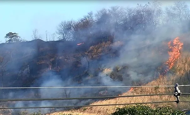 Vários focos de incêndio provocam destruição no ES durante o feriado