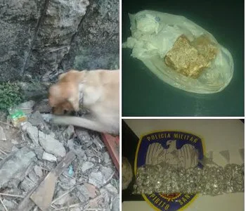 Cadela farejadora ajuda BME a localizar maconha e crack em Vila Velha