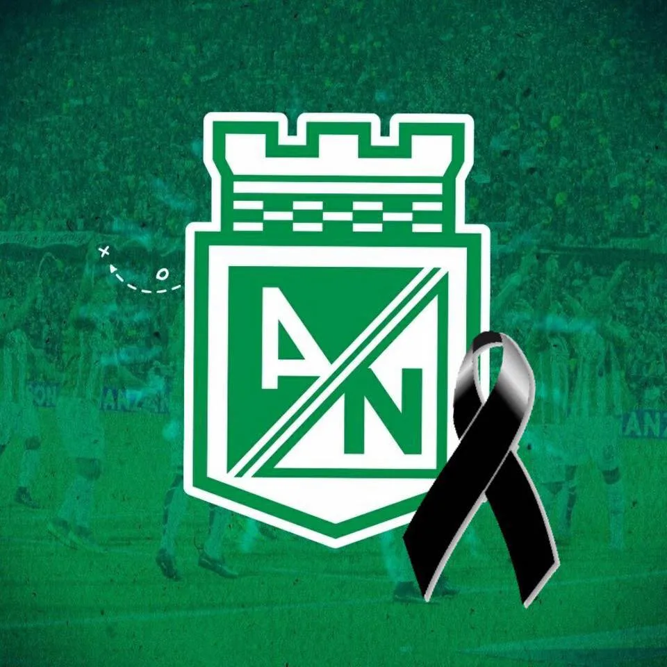 Clubes brasileiros demonstram apoio à Chapecoense após acidente com avião