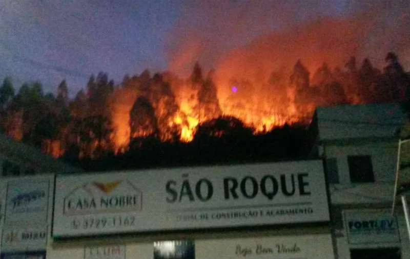 Incêndio de grandes proporções atinge plantação de eucalipto em São Roque do Canaã