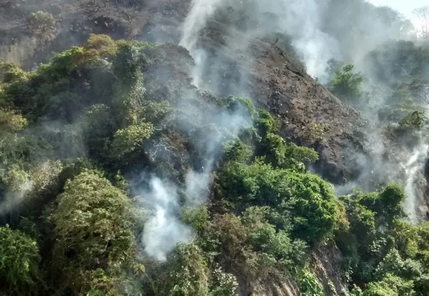 Corpo de Bombeiros volta a combater incêndio em reserva ecológica de Vitória