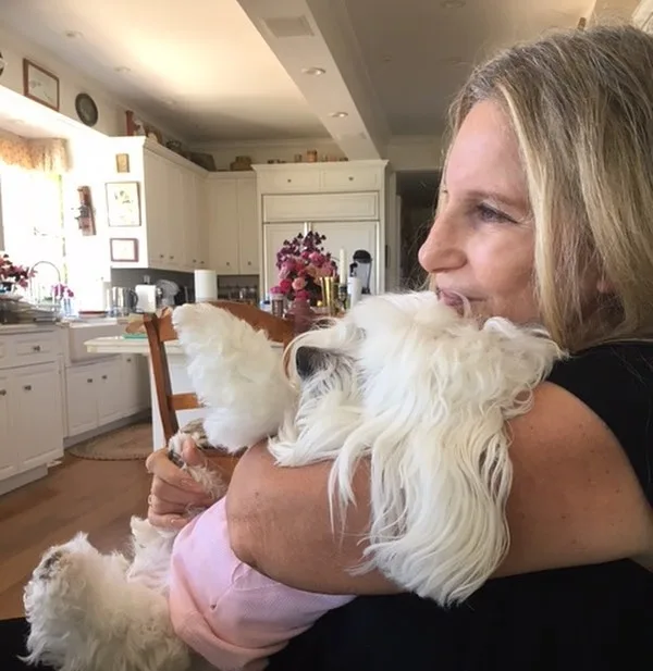 Barbra Streisand revela ter clonado sua cachorra duas vezes