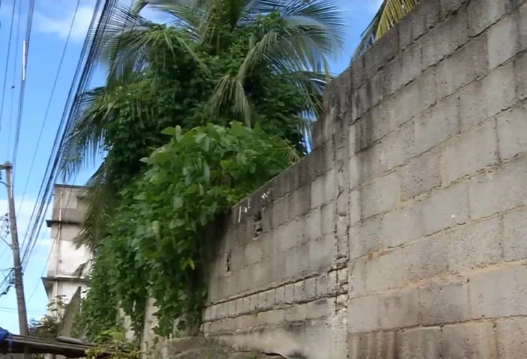 Menino cai em cima de vergalhão após subir em muro para pegar pipa em Cariacica