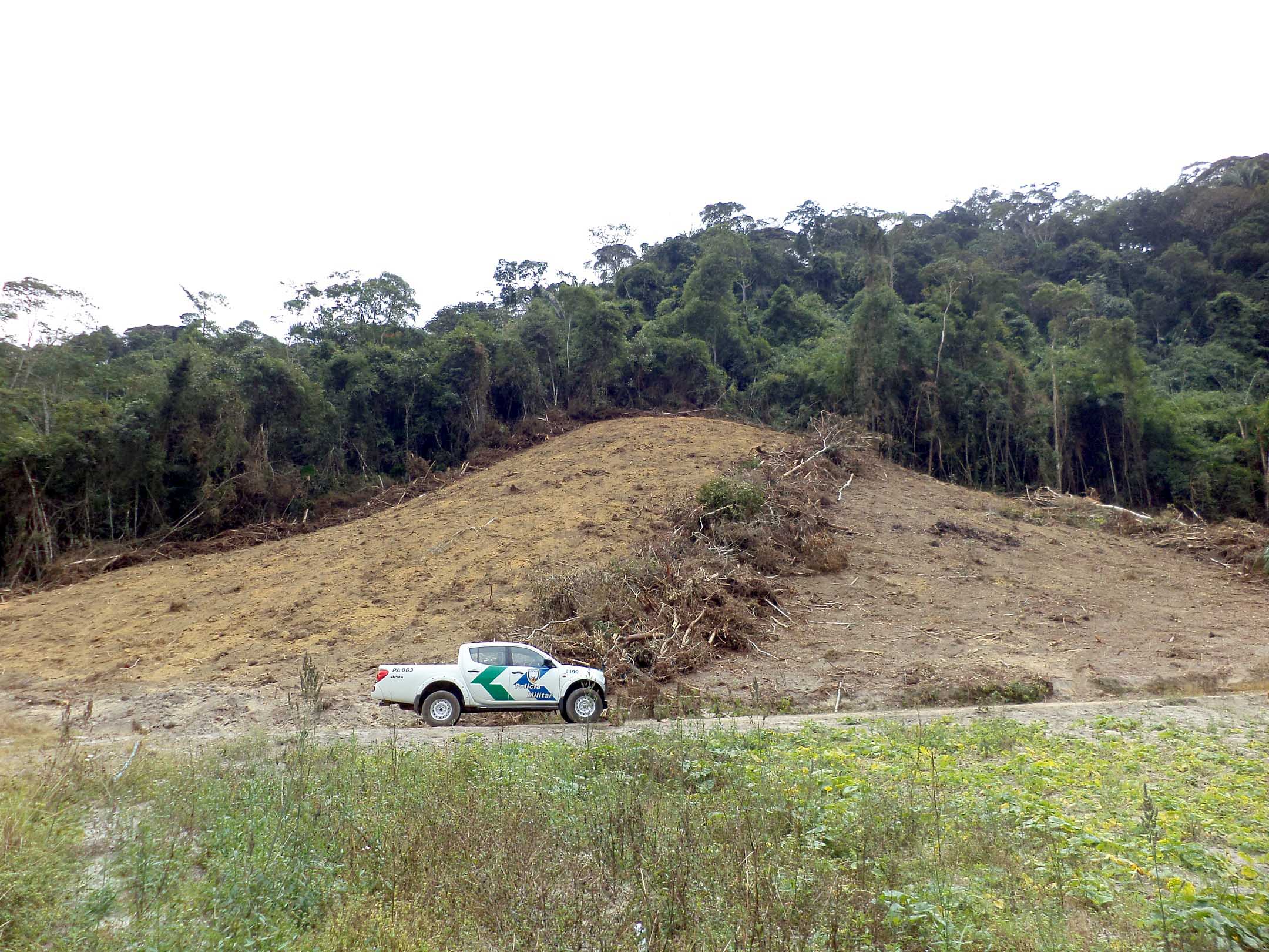 Ataque à natureza: Quase cinco mil metros quadrados de Mata Atlântica são destruídos em Santa Maria de Jetibá