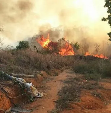 Incêndio em Marilândia pode ter destruído área equivalente a 100 campos de futebol