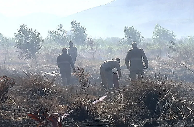 Incêndio em área de turfa na Serra pode ter sido causado por rituais religiosos