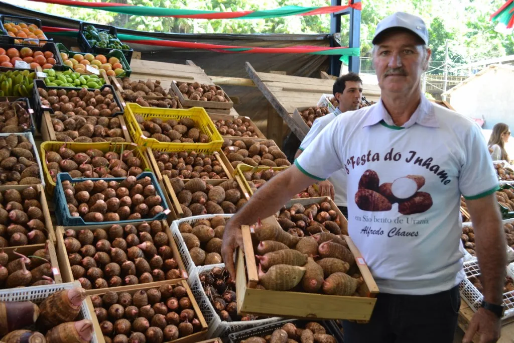 Maior produção de inhame do Brasil é comemorada com festa em Alfredo Chaves