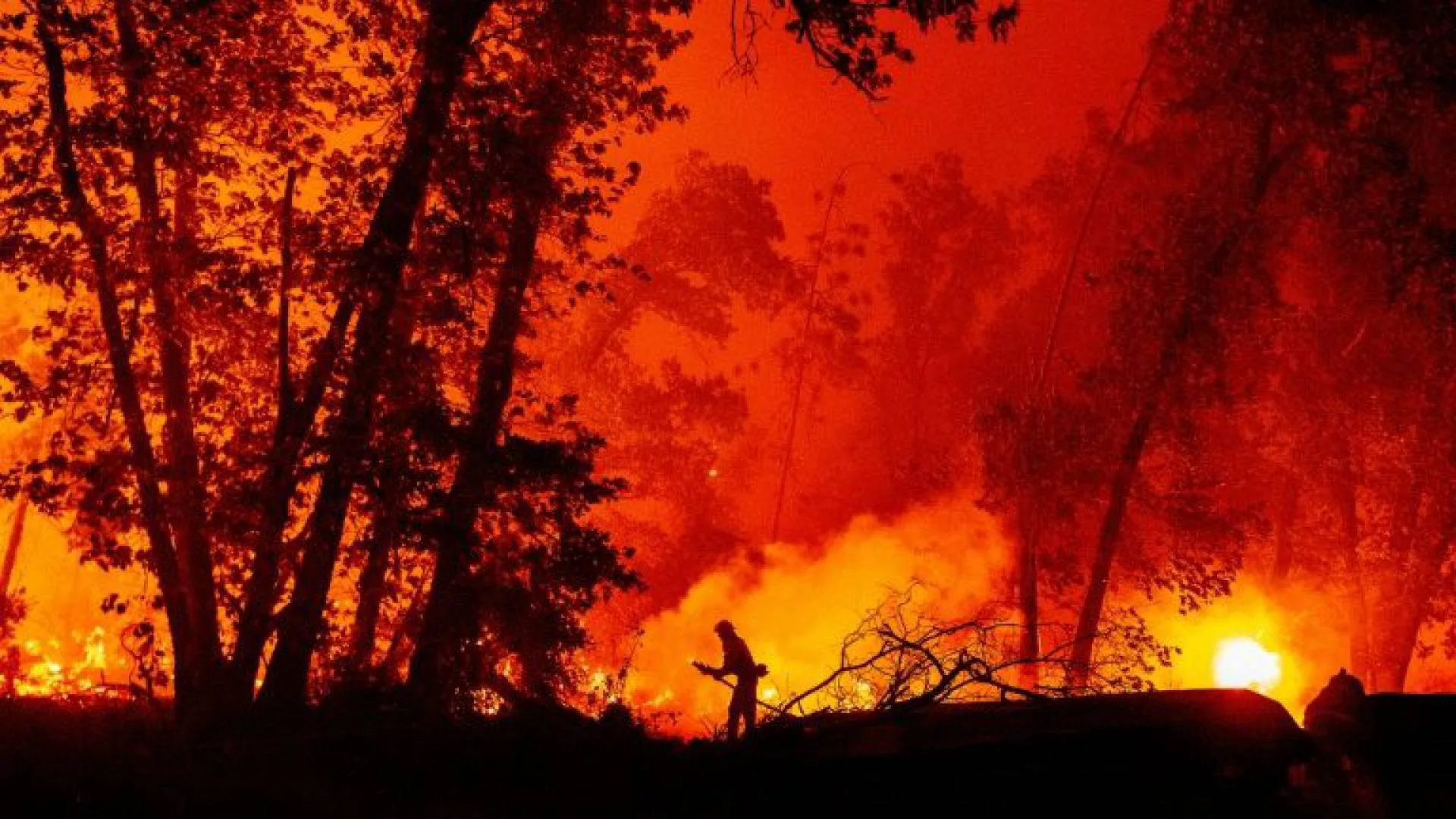 Incêndios deixam pelo menos 15 mortos na Costa Oeste dos EUA