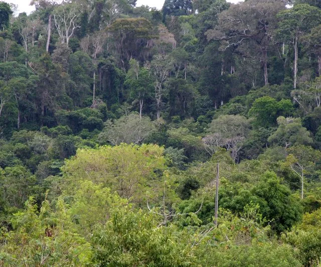 Espírito Santo mantém índice de conservação de meio ambiente em pesquisa nacional