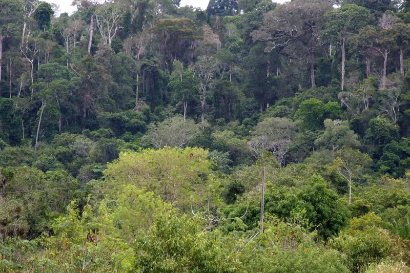 Espírito Santo mantém índice de conservação de meio ambiente em pesquisa nacional