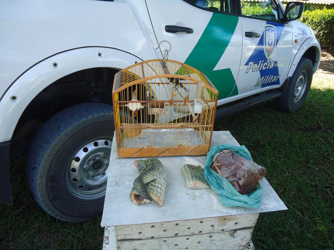 Homem é preso com animais silvestres abatidos e munições em Aracruz