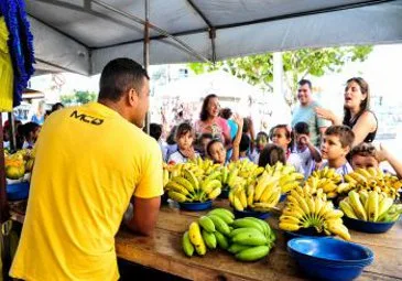 Alunos visitam Feira Livre